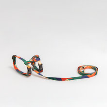 Alternative view of pidan Cat Harness and Leash Set, 2 patterns - Multicolor