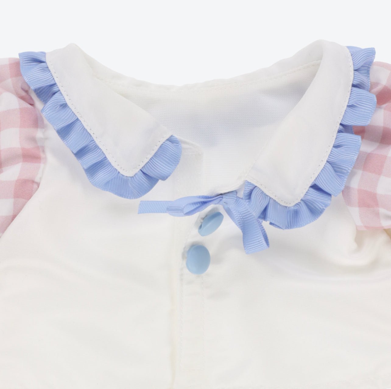 Tokyo Disney Resort – Duffy & Friends “Tasty Summer Surprise