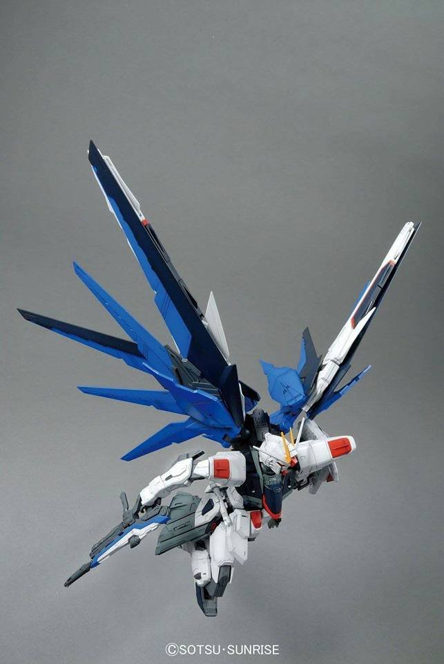 MG 1/100 Freedom Gundam Ver.2.0 - Image 7