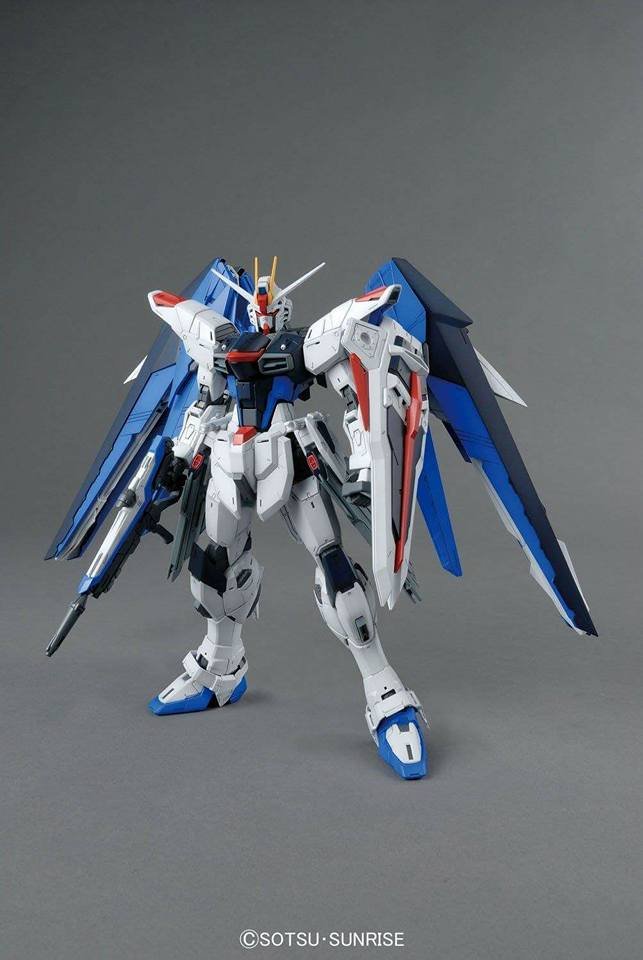 Alternative view of MG 1/100 Freedom Gundam Ver.2.0