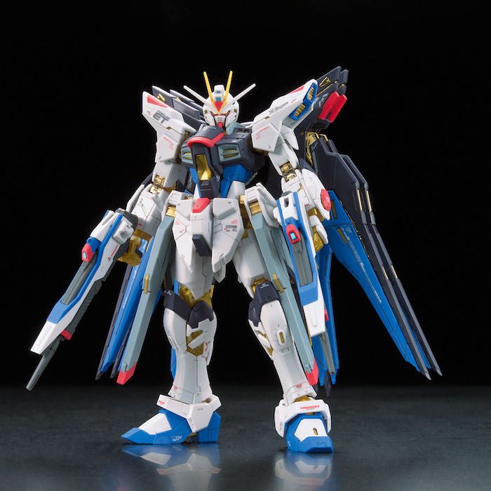 Alternative view of RG 1/144 #14 Strike Freedom Gundam