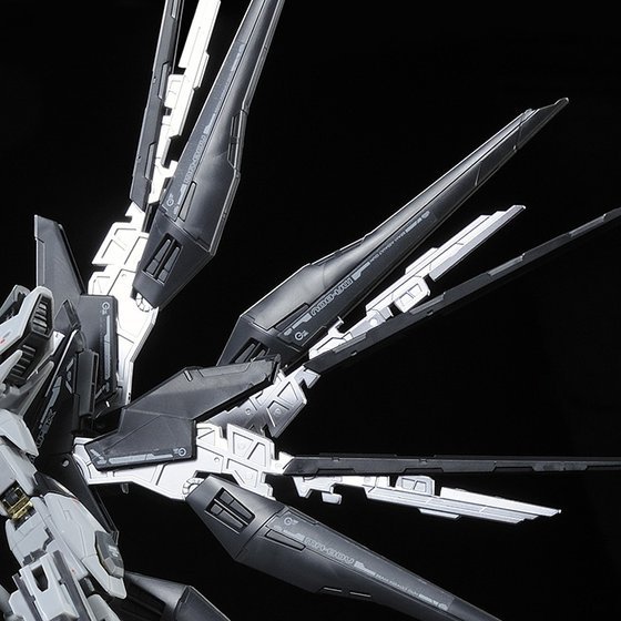 RG 1/144 STRIKE FREEDOM GUNDAM (DEACTIVE MODE) - Image 9