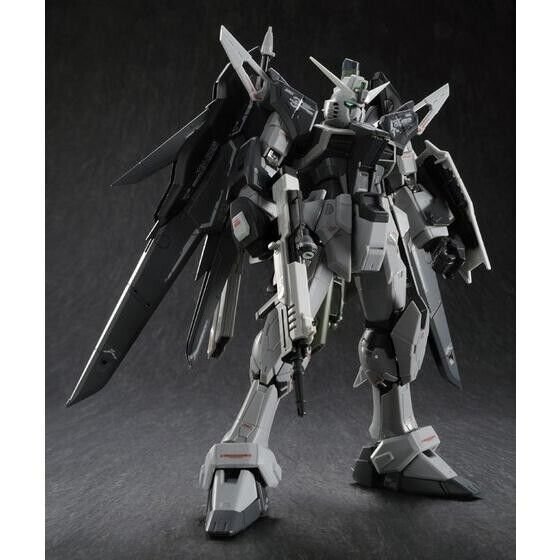 Alternative view of RG 1/144 DESTINY GUNDAM (DEACTIVE MODE)