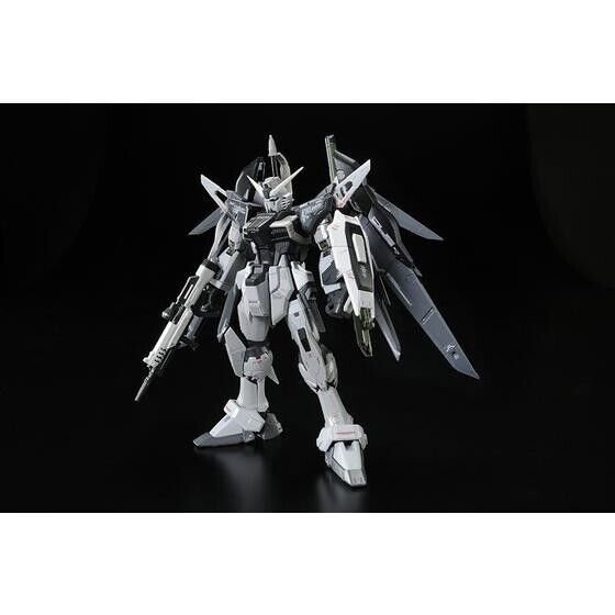 RG 1/144 DESTINY GUNDAM (DEACTIVE MODE) - Image 4
