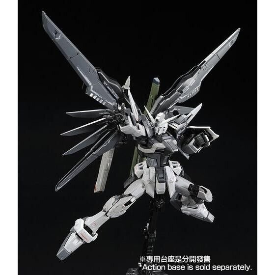 RG 1/144 DESTINY GUNDAM (DEACTIVE MODE) - Image 6