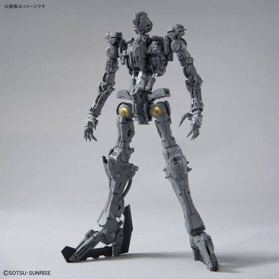 Alternative view of MG 1/100 GUNDAM VIDAR