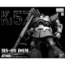 MG 1/100 MS-09 DOM (GRAVITY BATTLE LINE IMAGE COLOR VER.)